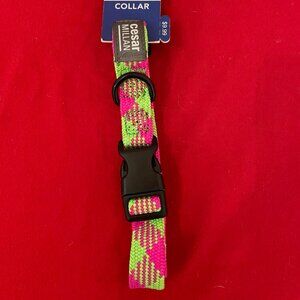 Dog Collar: Medium-size Neon Print Snap Buckle NWT